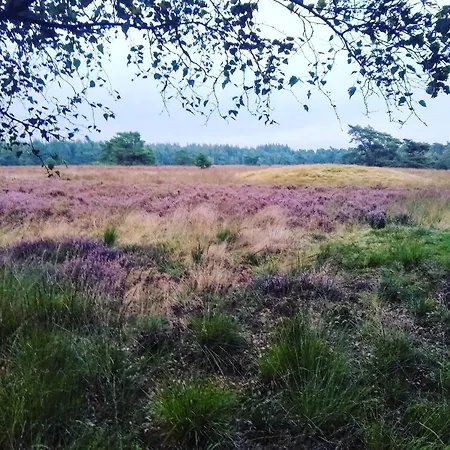 De Appelvink Chalé Emst