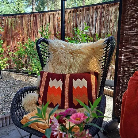 De Appelvink Chalé Emst