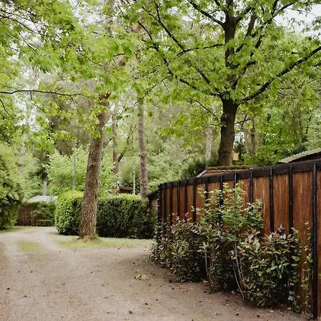 Chalet De Appelvink