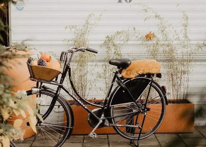 Alpstuga De Appelvink