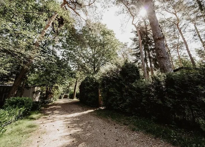 Alpstuga De Appelvink Emst