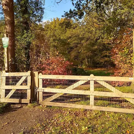 Chalet De Appelvink *