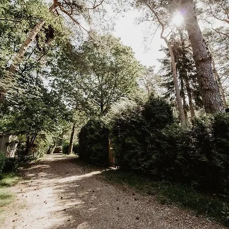 Chalet De Appelvink Emst