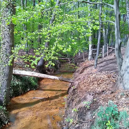 De Appelvink Chalet *