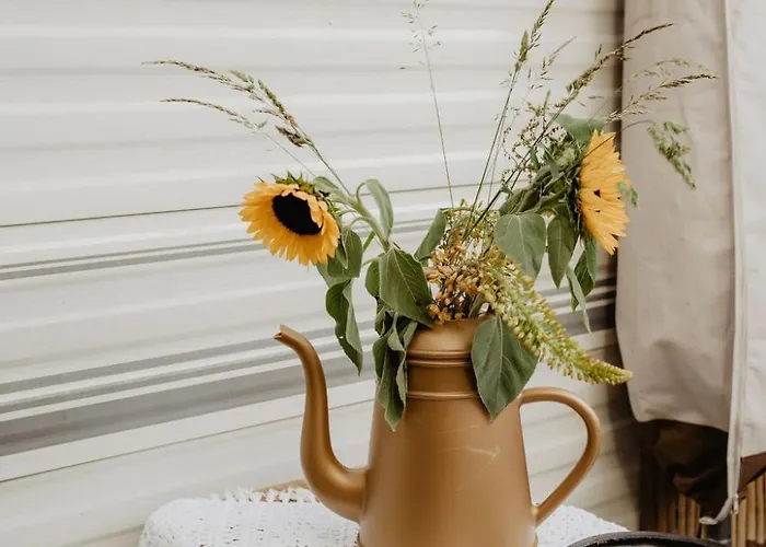 De Appelvink * Эмст