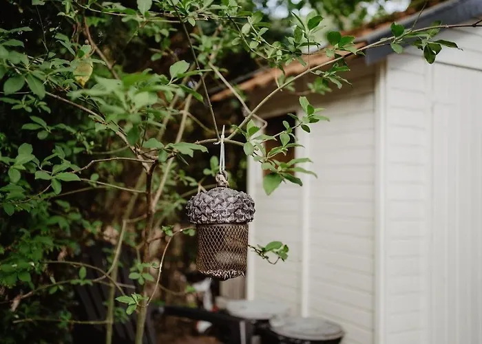 De Appelvink Шале