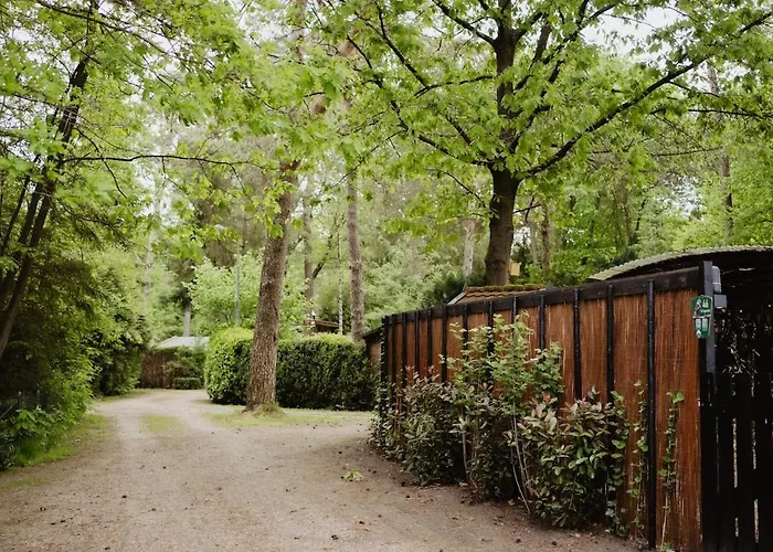 Шале De Appelvink