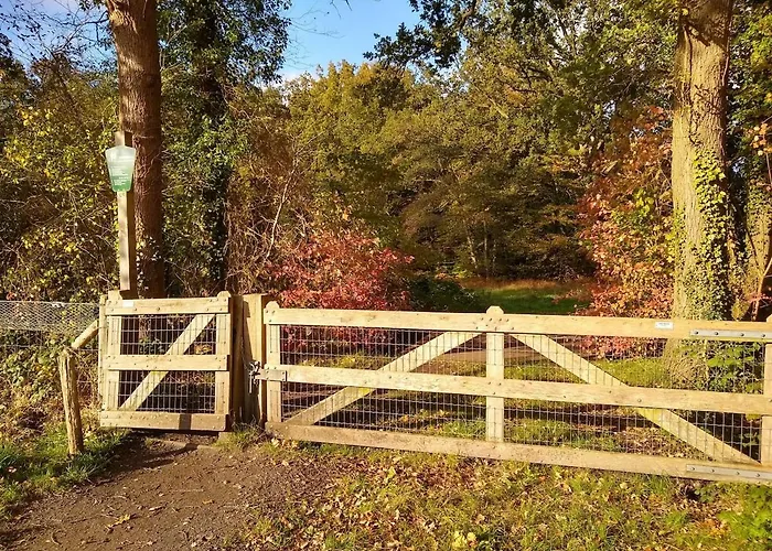 Шале De Appelvink *