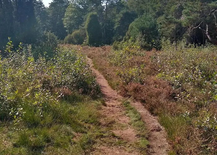 De Appelvink Эмст