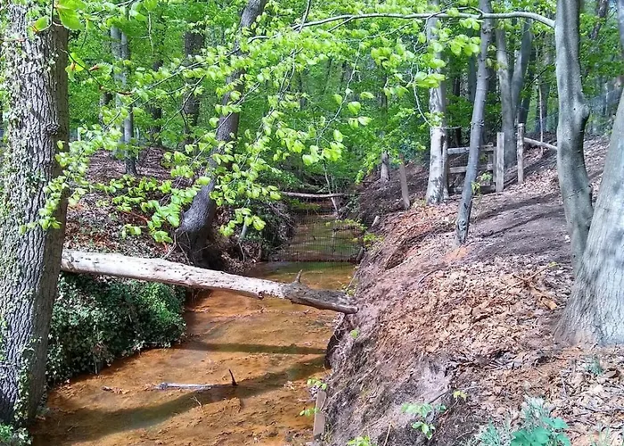 De Appelvink Шале *