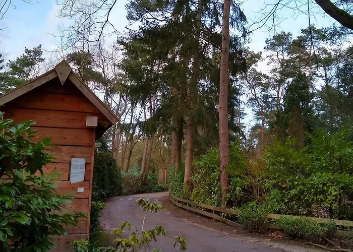 De Appelvink Шале Эмст