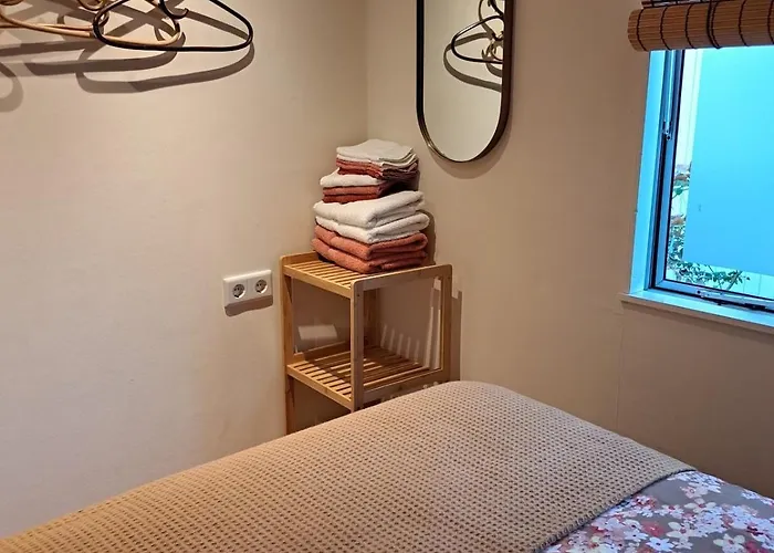 De Appelvink Эмст